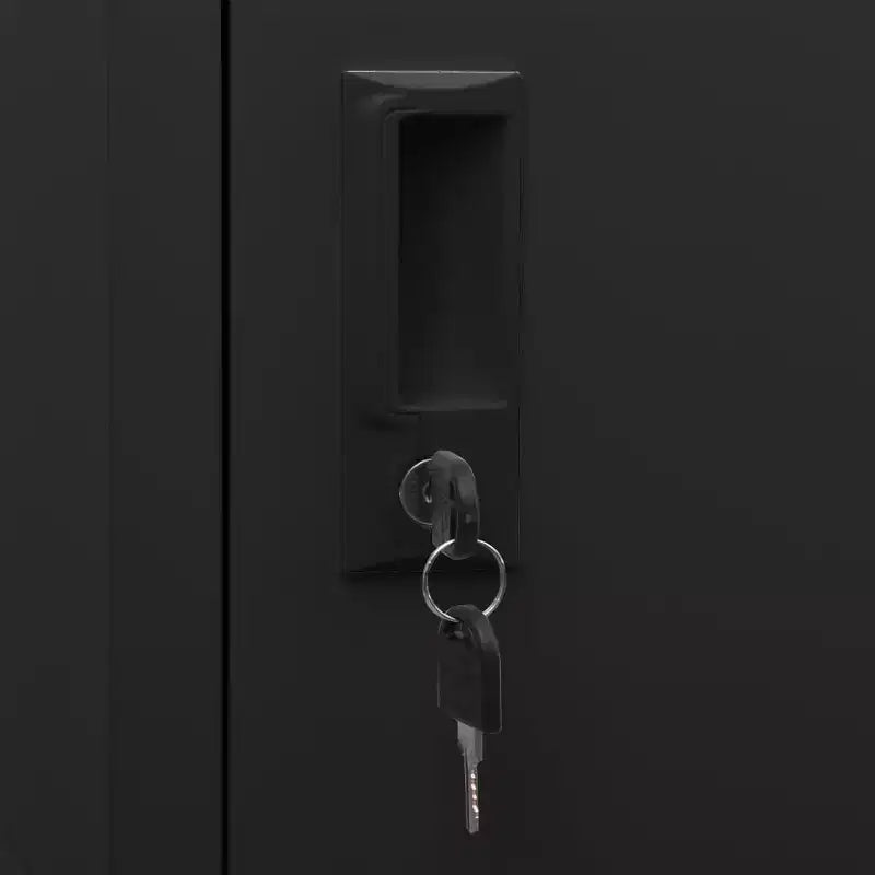vidaXL Casiers vestiaire Noir Acier Casier vestiaire rectangulaire